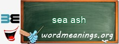 WordMeaning blackboard for sea ash